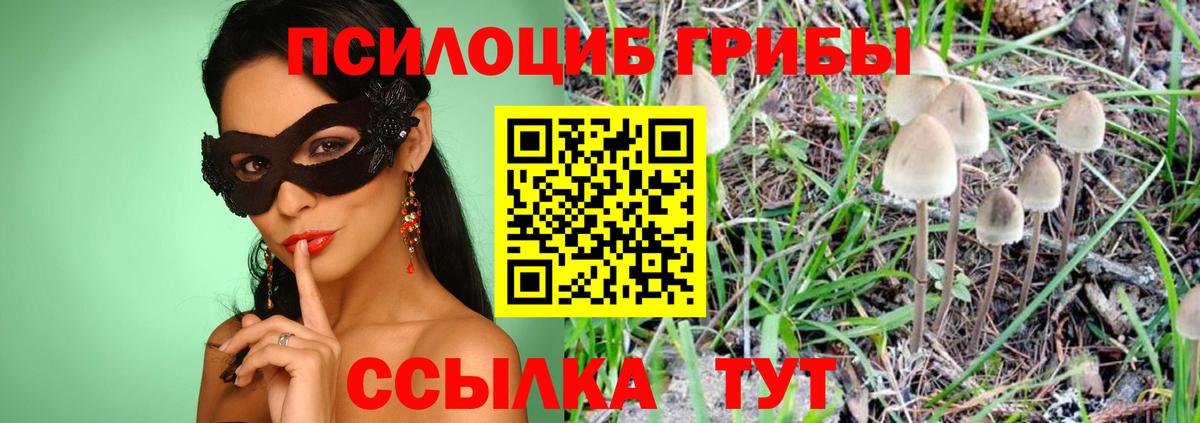 Пятигорск  Псилоцибиновые грибы MAGIC MUSHROOMS  Вход с VPN  Галлюциногенные грибы Psilocybe 